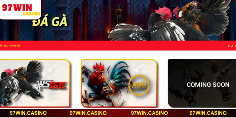 Quy trình đăng nhập cổng game dễ dàng cho tân thủ