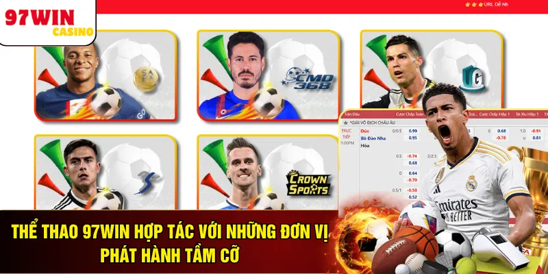 Thể thao 97WIN hợp tác với những đơn vị phát hành tầm cỡ